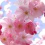 E' arrivata la primavera!